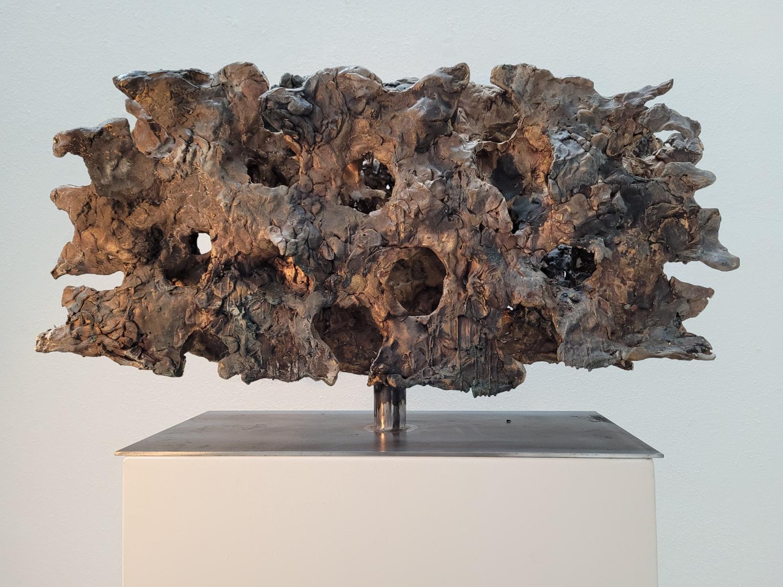 Emil Cimiotti, Baum - Strukturen, 2014, Bronze gussrau, 49 cm x 83 cm x 27 cm, Galerie Cyprian Brenner, LONGSTREET ART SHOP
