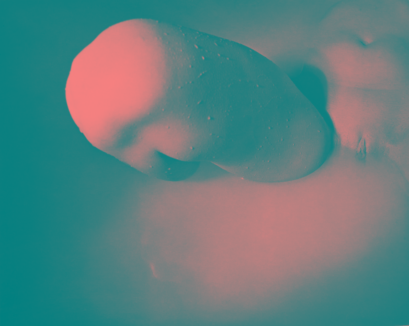 Hermann Försterling,
Knie,
05/2002,
Heliogravur auf Bütten,
31 cm x 39 cm,
Auflage: 8
