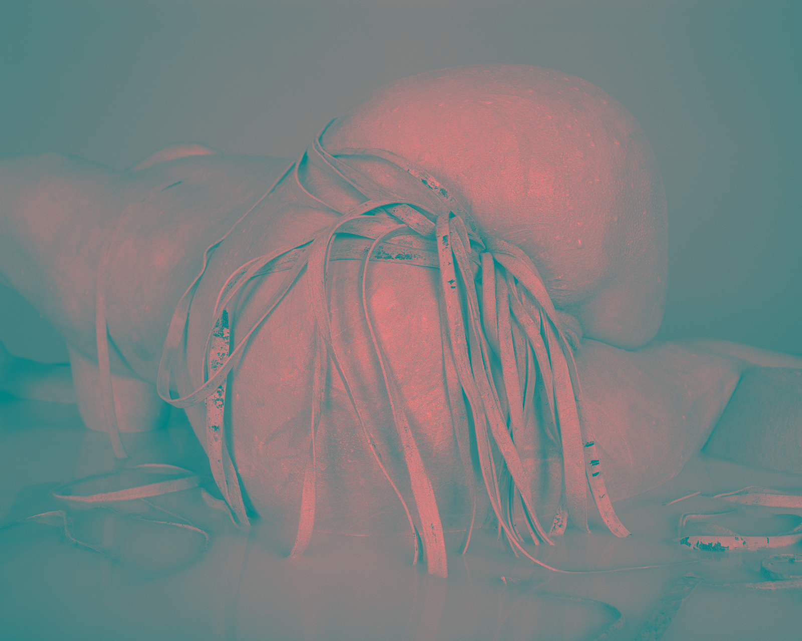 Hermann Försterling,
Lederbänder,
12-2012,
Heliogravur auf Bütten,
40 cm x 32 cm,
Auflage: 7