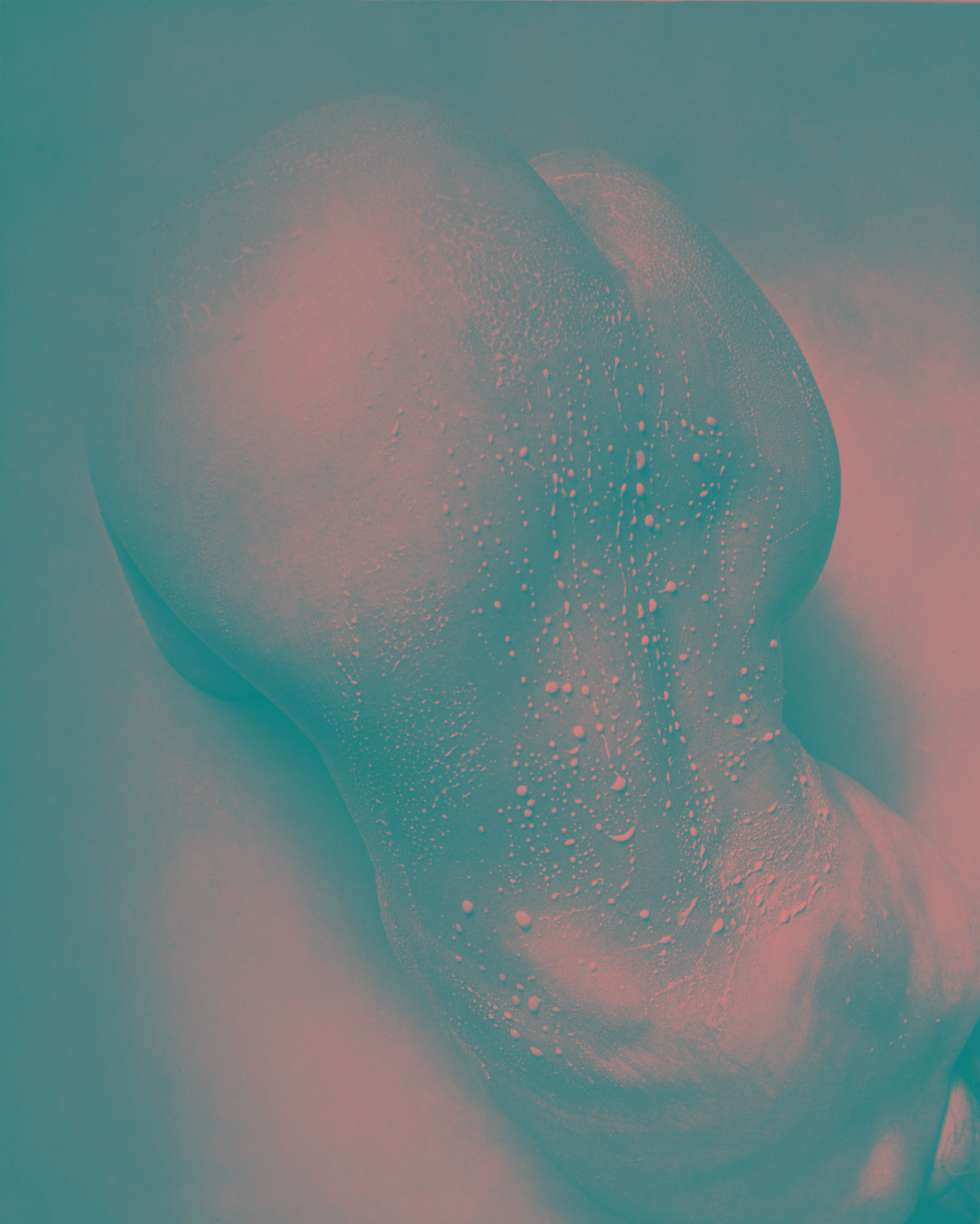 Hermann Försterling,
Milchrücken,
03/2008,
Heliogravur auf Bütten,
31 cm x 38 cm,
Auflage: 8