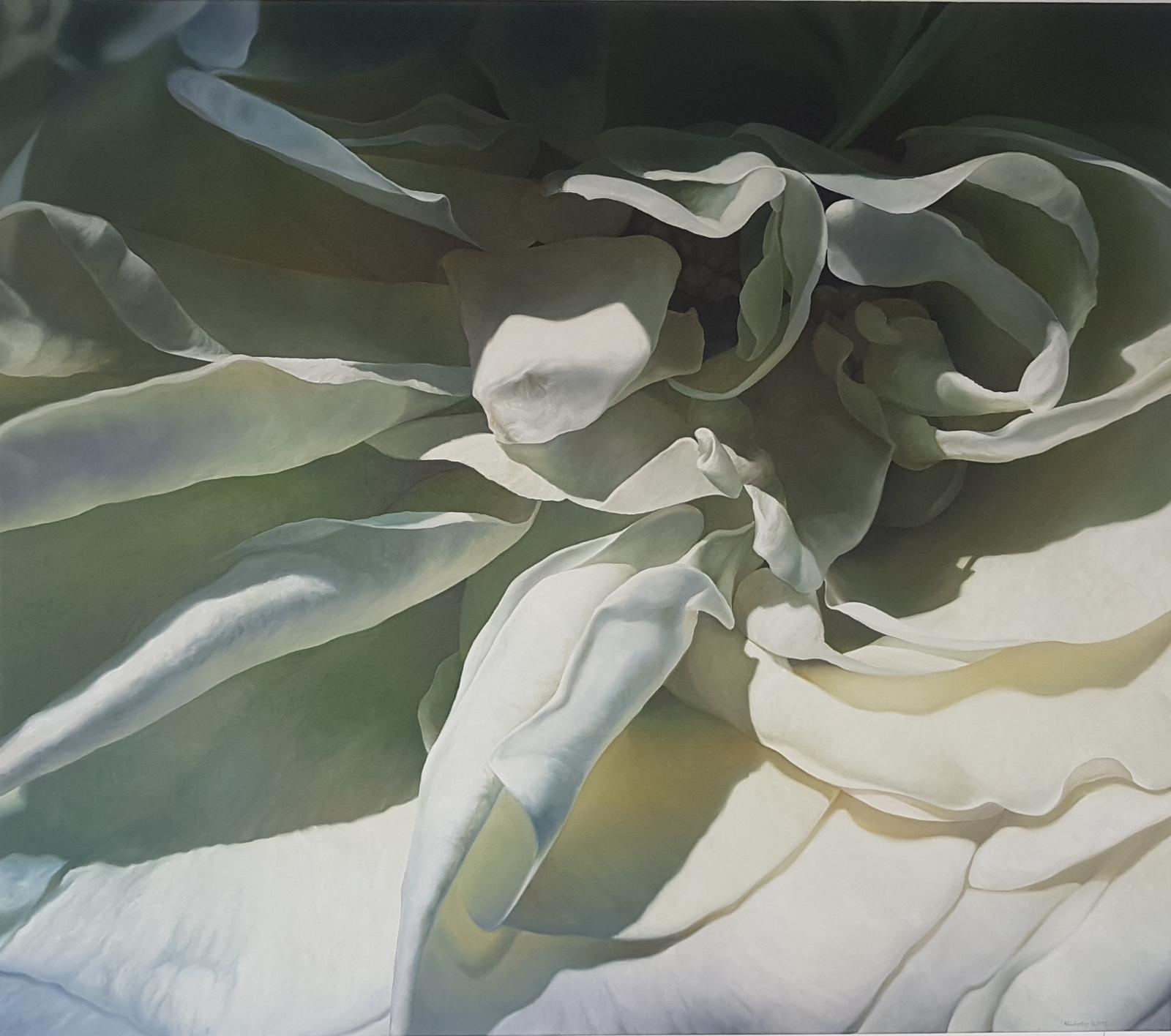 Hermann Försterling, Rose im Licht, Öl auf Leinwand, 140 x 160 cm, föh010ko