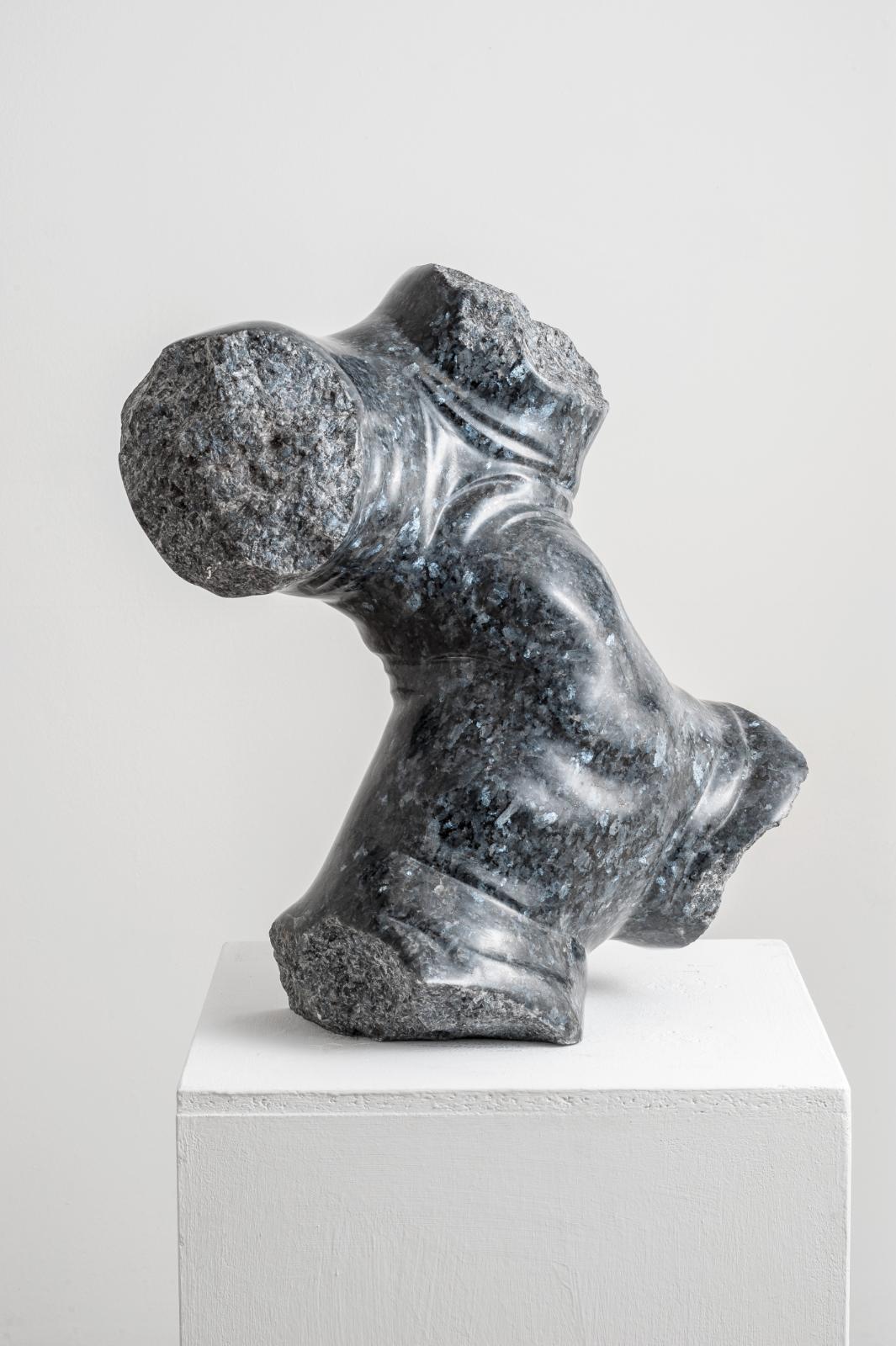 Christoph Traub, Torso, 2016, Labrador, 48 x 30 x 45 cm, trc008ko