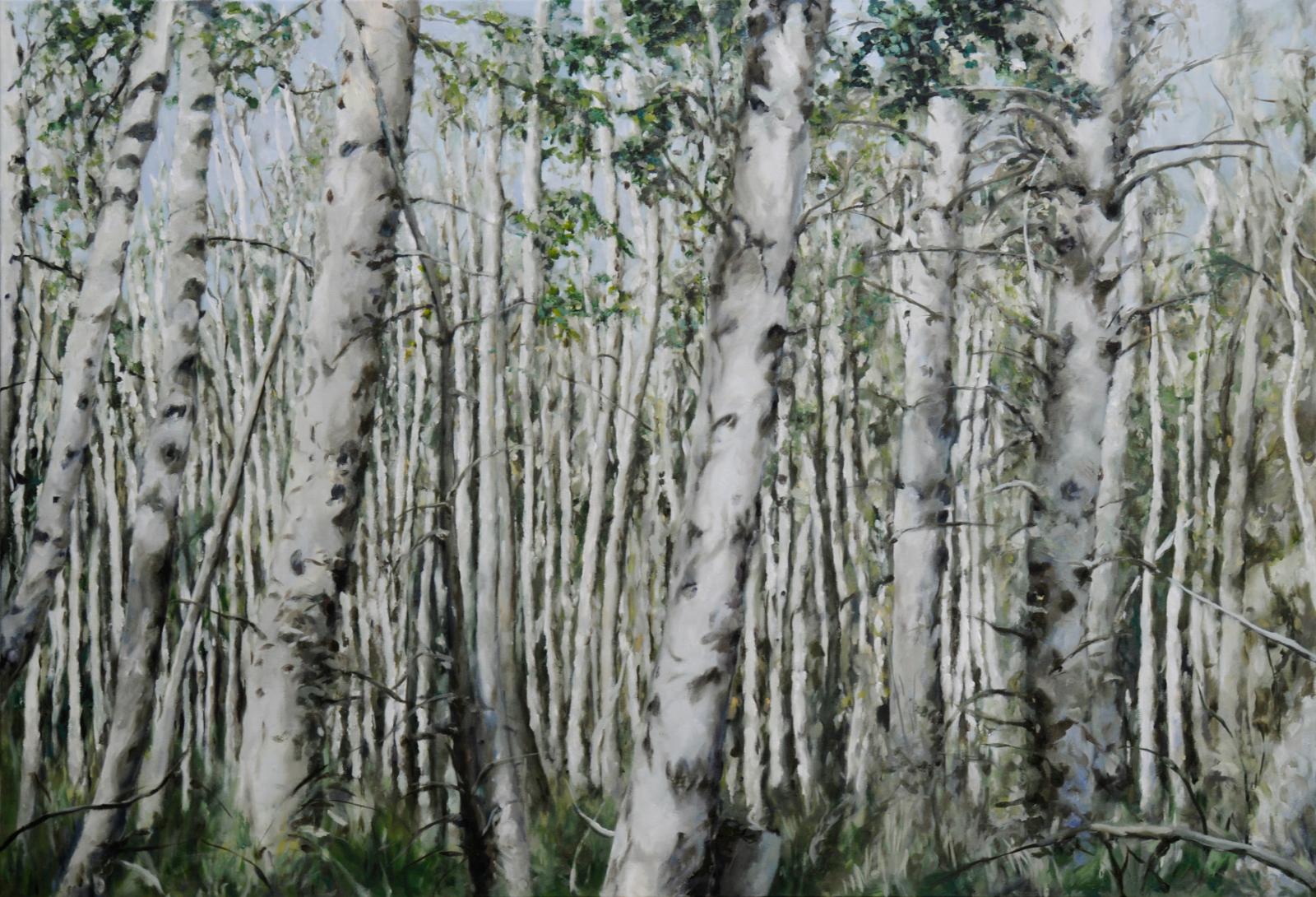 Franz Baumgartner, Birkenwald, 10.2014, Öl auf Leinwand, 120 cm x 175 cm, Galerie Cyprian Brenner, LONGSTREET ART SHOP