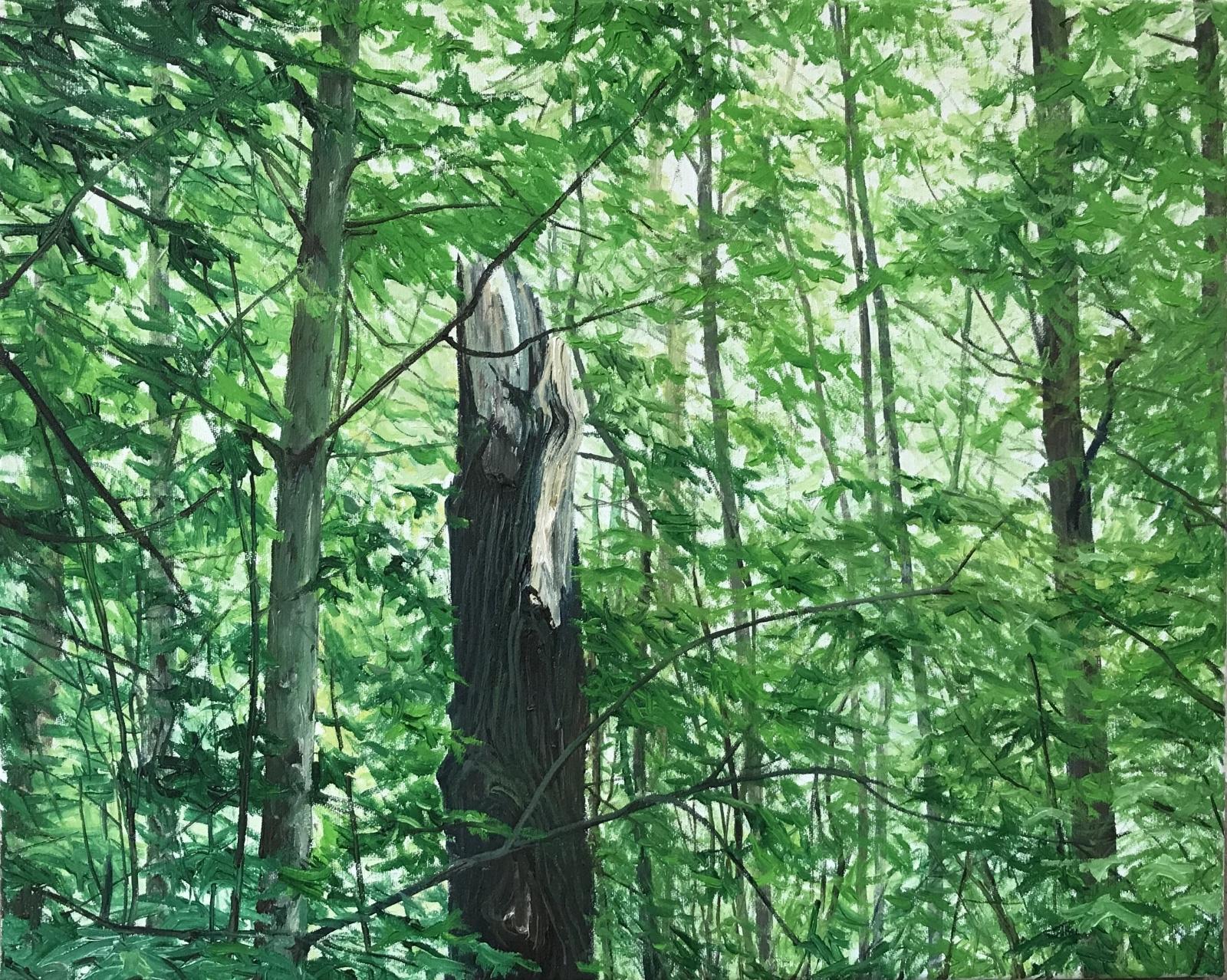 Helge Hommes, Kommst Du mit in den Wald, 2015, Öl auf Leinwand, 40 cm x 50 cm, Galerie Cyprian Brenner, LONGSTREET ART SHOP
