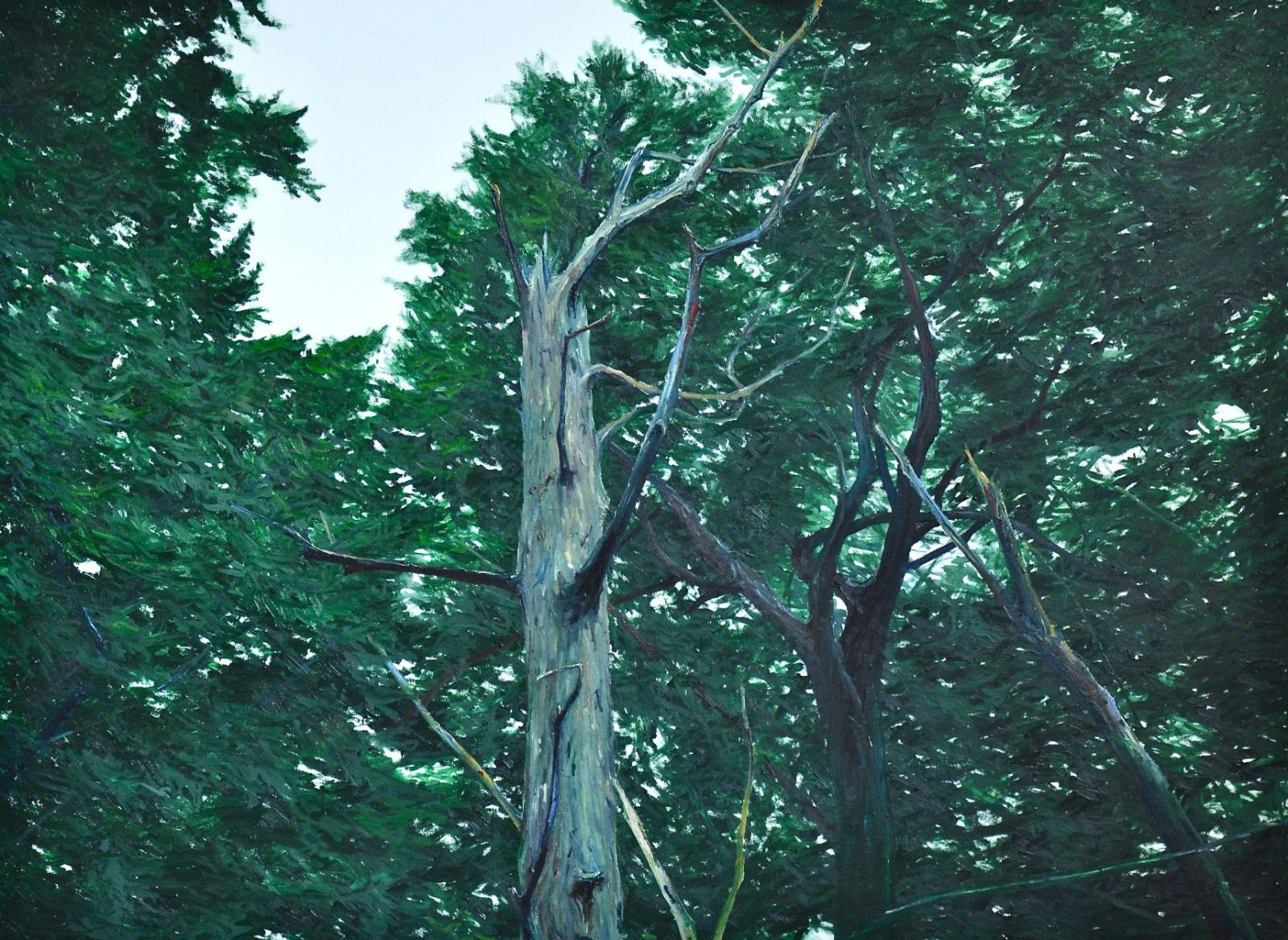 Helge Hommes, Morgenland, kommst Du mit in den Wald, 2015, Öl auf Leinwand, 170 cm x 220 cm, Galerie Cyprian Brenner, LONGSTREET ART SHOP