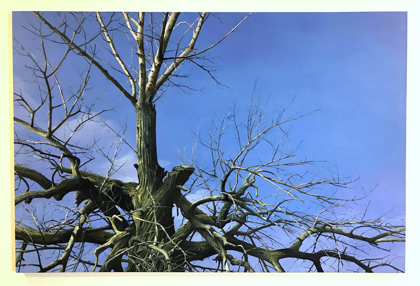 Helge Hommes, DU, 2018, Öl auf Leinwand, 200 x 300 cm