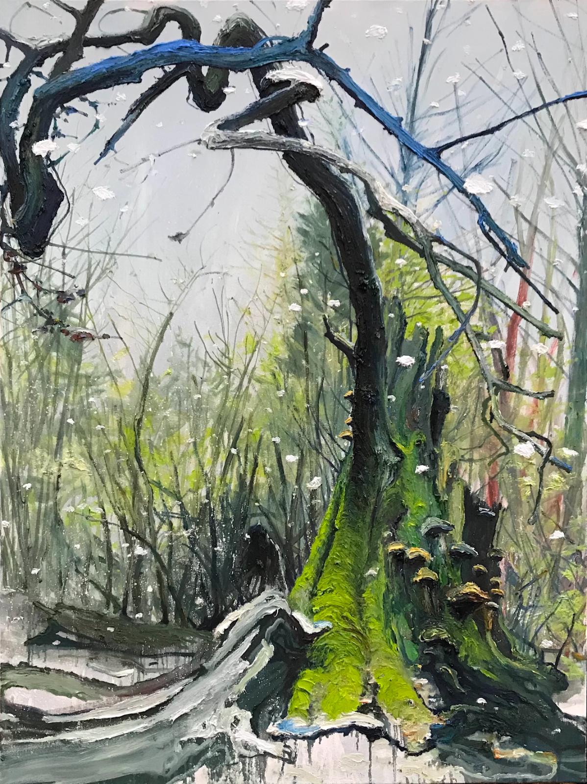 Helge Hommes, DU Baumporträt im Reinhardswald, plein air 2019, Öl auf Leinwand, 160 x 120 cm