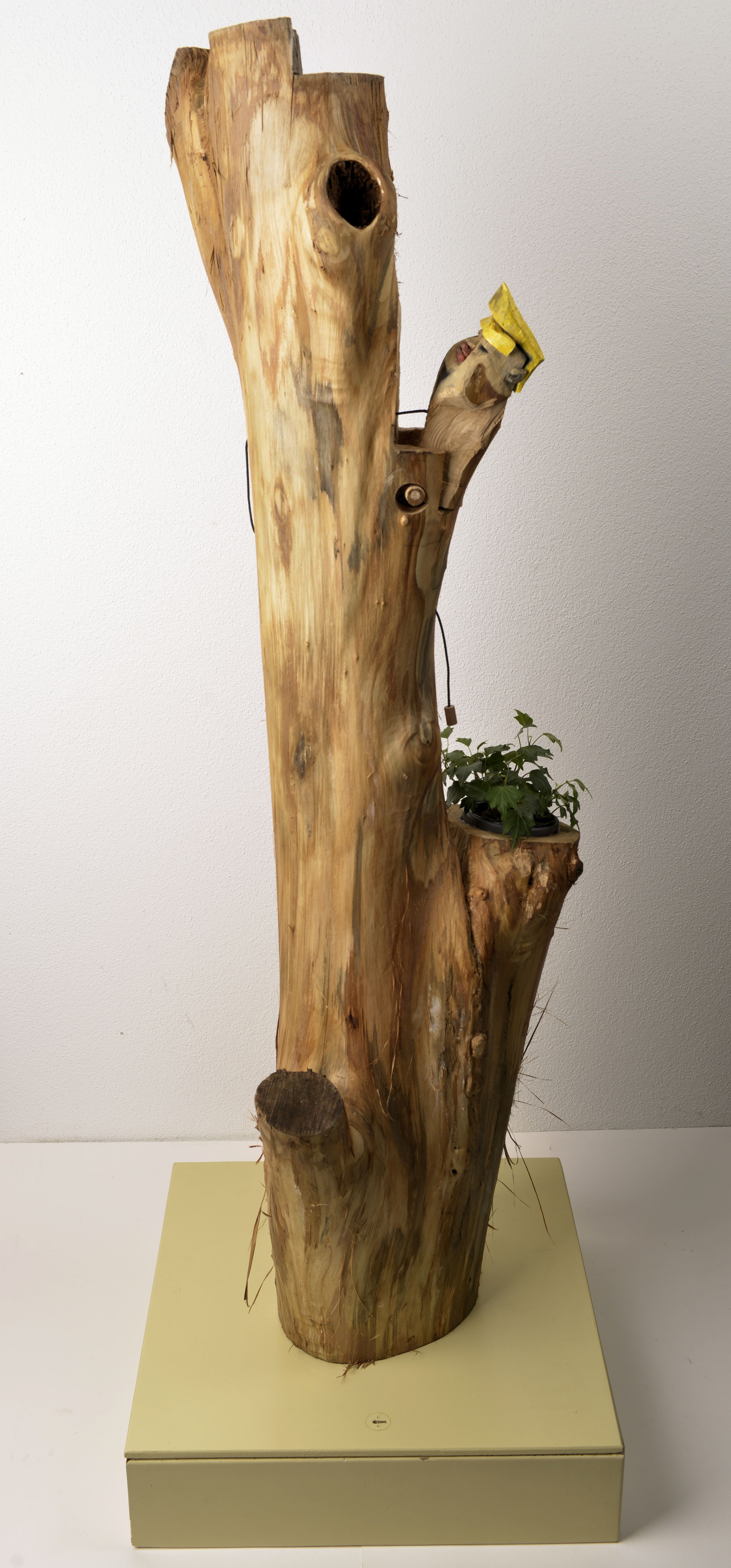 Andreas Welzenbach, Knock Knock -, oder Die Dummheit als Specht, 2017, Linde, farbig gefasst, Efeu, Kopf über Seilzug beweglich, Höhe ca. 180 cm, mit Sockel, Preis auf Anfrage, wea013ko