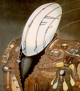 Jochen Wahl, Opalkopf, 1981, Radierung, 40 cm x 34 cm, Preis auf Anfrage, SüdWestGalerie, LONGSTREET ART SHOP